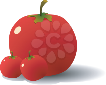 Vector illustration of Tomatoes