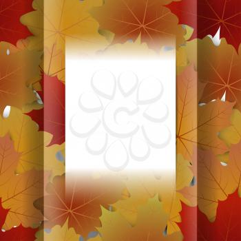 Abstract autumn frame from maple leaves. 