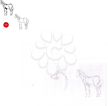 A set of silhouettes of horse from the back isolated on white background. Vector illustration.