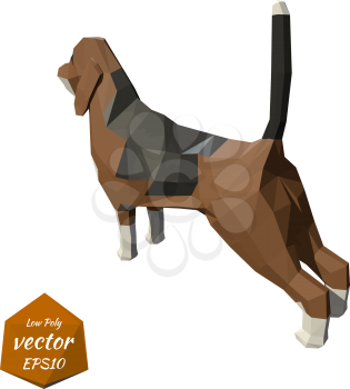 Dog on a white background. Low poly. Vector illustration.
