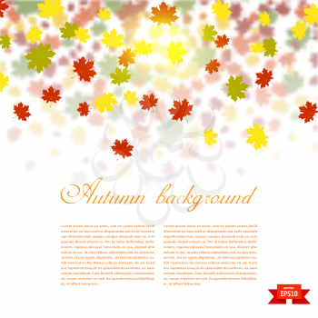 Autumn background with colored maple leaves. changing seasons illustration. Banner, card, poster. Stock vector illustration