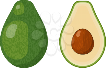 Two halves of ripe juicy avocado with a bone on a white background. Vector illustration of a tropical fruit. Vegetarians food