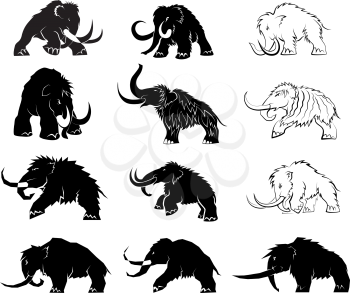 Set of black silhouettes of mammoths on a white background. Prehistoric animals of the ice age in various poses. Elements of nature and evolutionary development. Vector illustration

