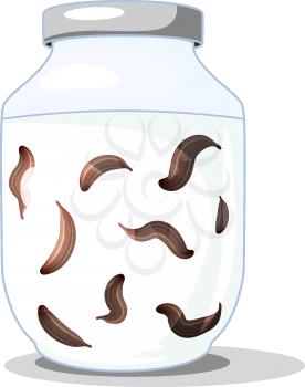 Colored illustration of a glass jar with medical leeches on a white background in the style of a cartoon. Vector illustration herdotherapy, alternative medicine