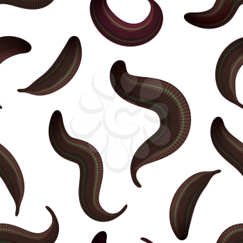 seamless  leeches on a white background medical leeches, isolated animals. Vector illustration of bloodsucking worms