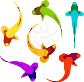 Set of multi-colored koi carps on a white background in different positions of the body. Animal world, fish. Vector illustration