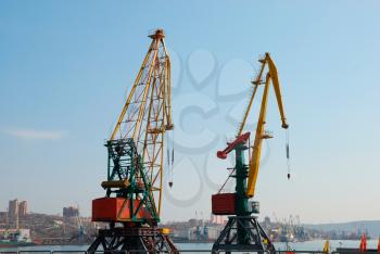 Cranes loading cargo in seaport
