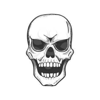Skull sketch of scary human skeleton. Vintage skull with evil face isolated icon of death danger symbol for tattoo or Halloween sign design