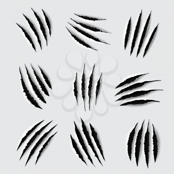 Scratches and claw marks of animal paws. Vector torn traces of tiger, lion, cat or bear monster, slashes or scars of dinosaur or werewolf beast attack, tattoo or t-shirt print design