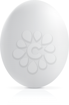 Royalty Free Clipart Image of a White Egg