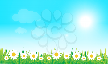 Royalty Free Clipart Image of a Field of Daisies