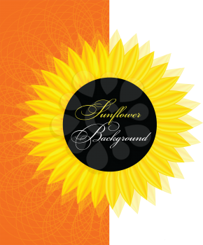 Royalty Free Clipart Image of a Yellow Sunflower on an Orange and White Background