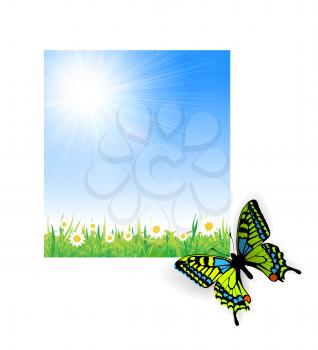 Royalty Free Clipart Image of a Field of Daisies and a Butterfly