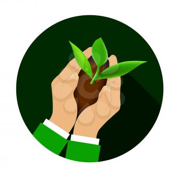 Hands holding young plant. Ecology or business concept