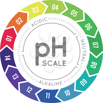 pH meter for measuring acid alkaline balance. Vector infographics in the circle form with pH scale on white background
