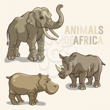 Vector illustrations of african animals. Elephant, rhino, hippopotamus