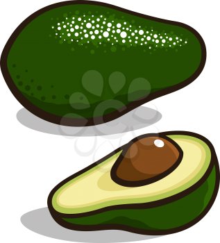 Vector illustration of an avocado isolated on white