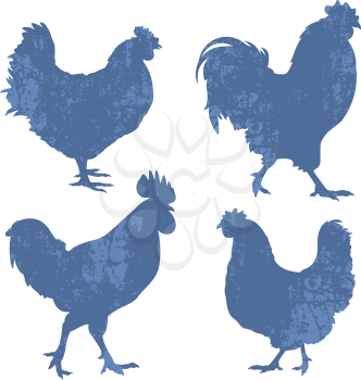 Silhouettes of chickens and roosters with grunge effect isolated on white