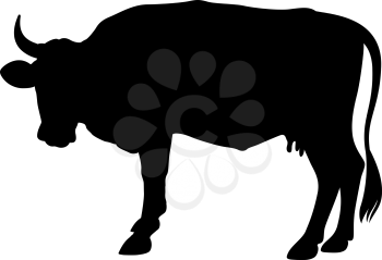 Vector silhouette of a cow isolated on white