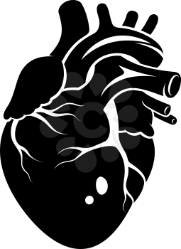 Human Heart icon isolated on a white background