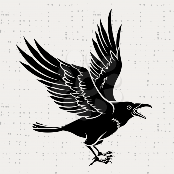 Vector silhouette of a flying black raven on grunge background