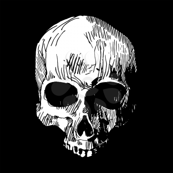 Sketch of skull on black background. Idea for t-shirt design