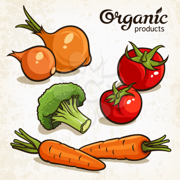 Vector illustration of vegetables: carrot, onion, tomatoes, broccoli