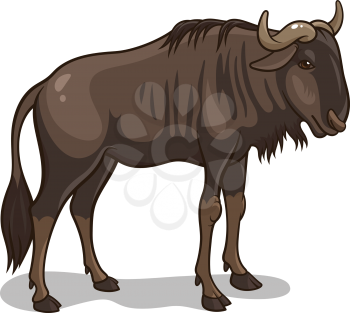 Vector illustration of an african wildebeest isolated on white