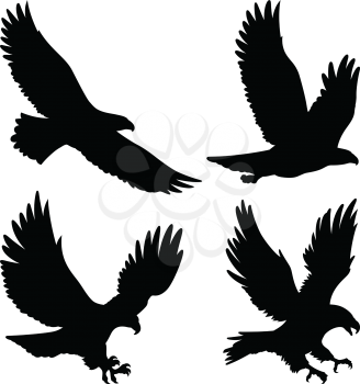 Bald Eagle silhouettes isolated on white. This vector illustration can be used as a print on t-shirts, tattoo element or other uses
