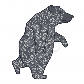 Bear Vector Illustration for Child T-shirt Design