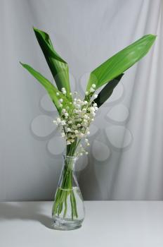 Lily of the valley flowers in a transparent vase.