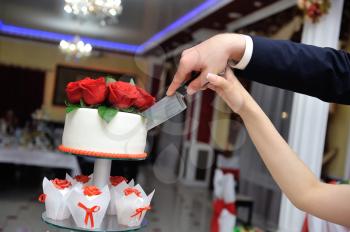 The hands of the bride and groom hold a knife and cut their cake.
