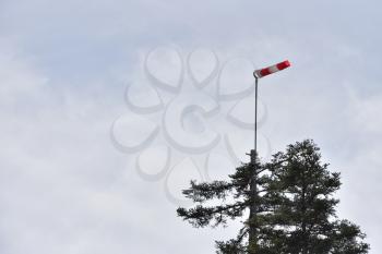 Wind pointer mounted on the top of a large spruce tree, against the background of the sky