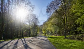 Spring landscape with a road between the trees, the sun and the blue sky in the German forest Schwarzwald