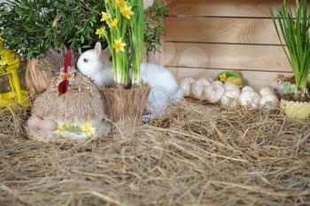 A small and curious white rabbit with blue eyes, jumping over dry hay in a studio with Easter decor. Studio photography