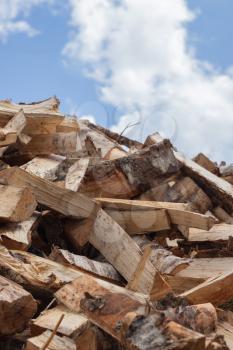 A pile of chopped birch firewood.