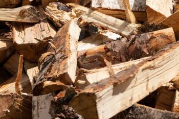 A pile of chopped birch firewood.