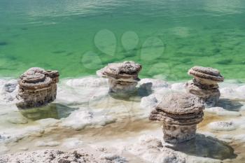 Salt stones by the green saline lake. Photo in Qinghai, China.