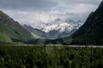 Snowy mountains and trees in a cloudy day. Khan Tengri Mountain In Xinjiang, China.