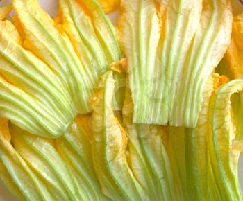 Detail of courgettes or zucchini flowers vegetable food