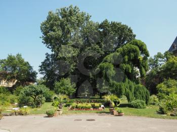 The Royal Botanical Gardens in Turin, Italy