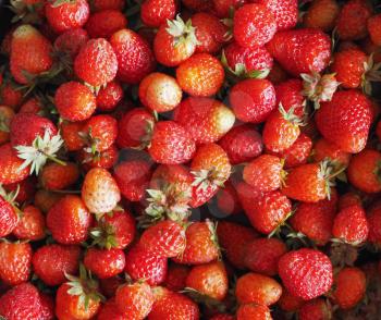 strawberry (Fragaria x ananassa) fruit vegetarian food