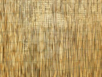 Picture of Bamboo fence or wall background
