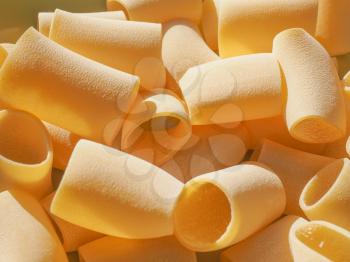 Italian paccheri pasta in the shape of large tubes from Campania and Calabria