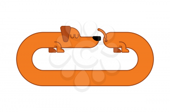 Long Dog Dachshund Isolated. gaunt Home Pet
