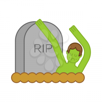 Zombie and grave. Gravestone and dead man. Halloween illustration