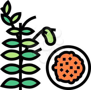 lentils groat color icon vector. lentils groat sign. isolated symbol illustration