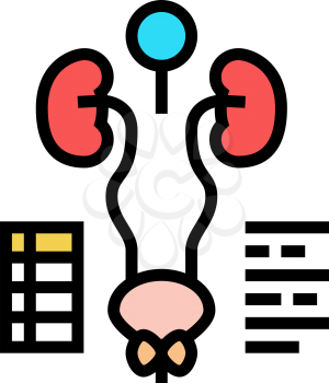 examining genitourinary system color icon vector. examining genitourinary system sign. isolated symbol illustration