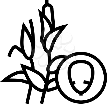 corn groat line icon vector. corn groat sign. isolated contour symbol black illustration
