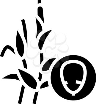 corn groat glyph icon vector. corn groat sign. isolated contour symbol black illustration
